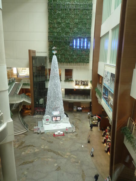 p1000288.jpg