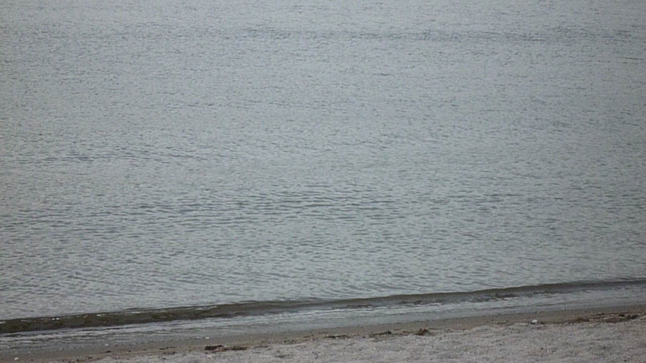 p1000295.jpg