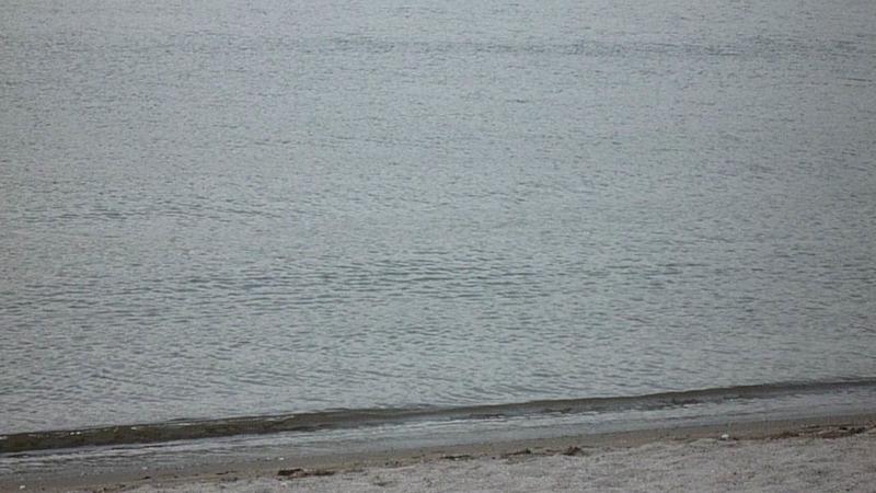 p1000295.jpg