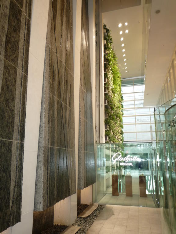 p1000253.jpg