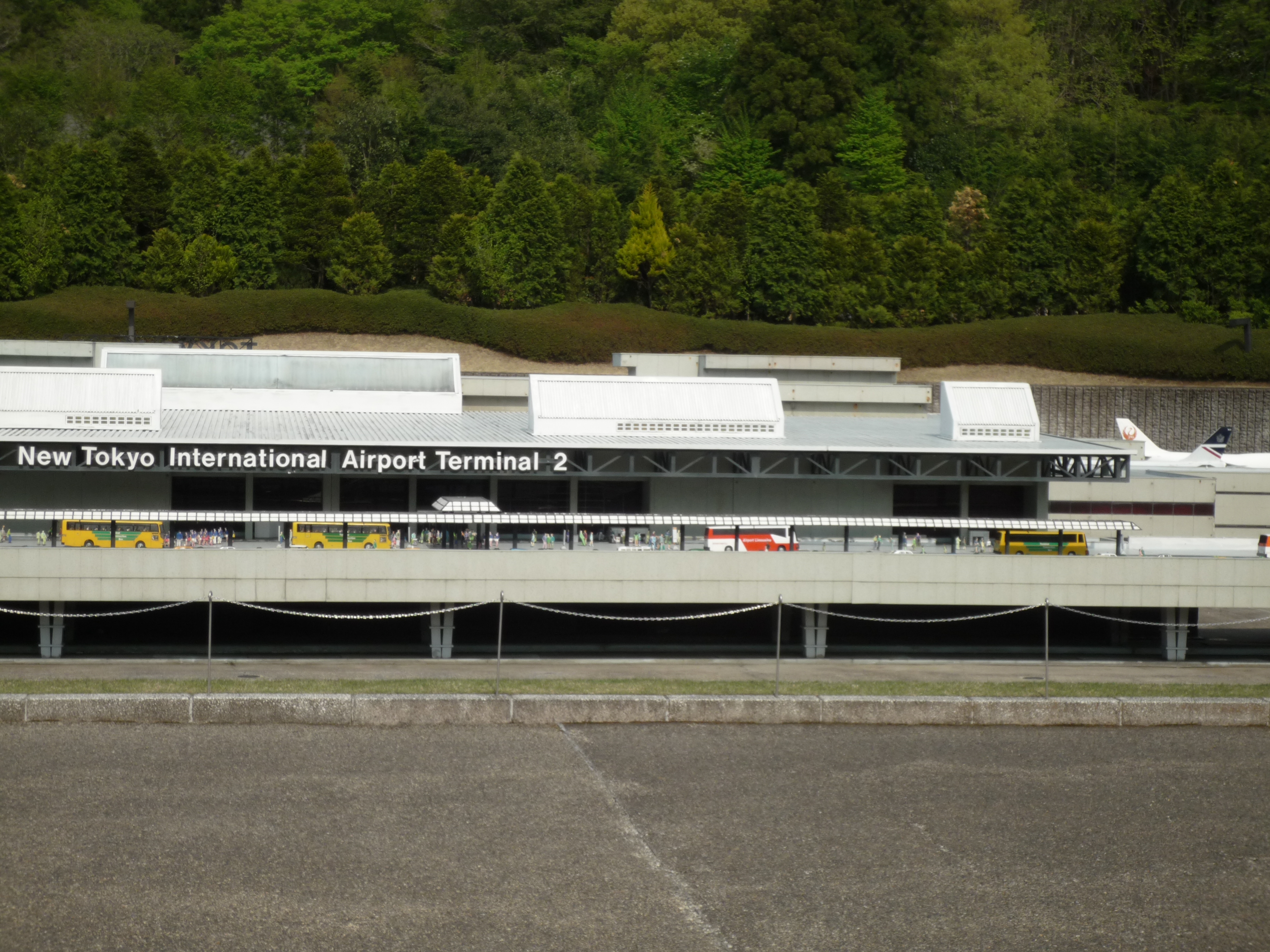 p1000363.jpg