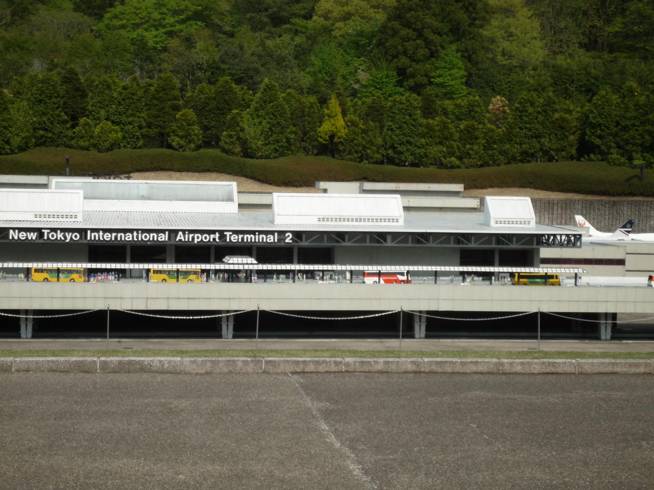 p1000363.jpg
