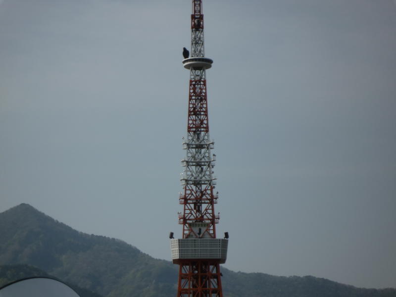 p1000364.jpg