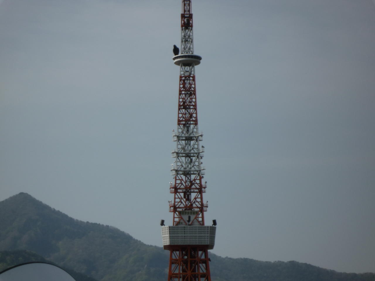 p1000364.jpg