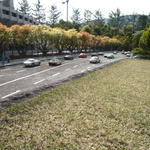 p1000365.jpg