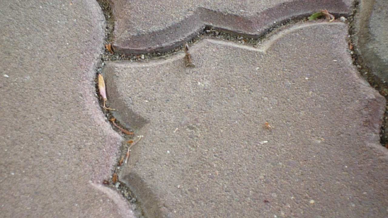 p1000383.jpg