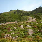 p1000440.jpg