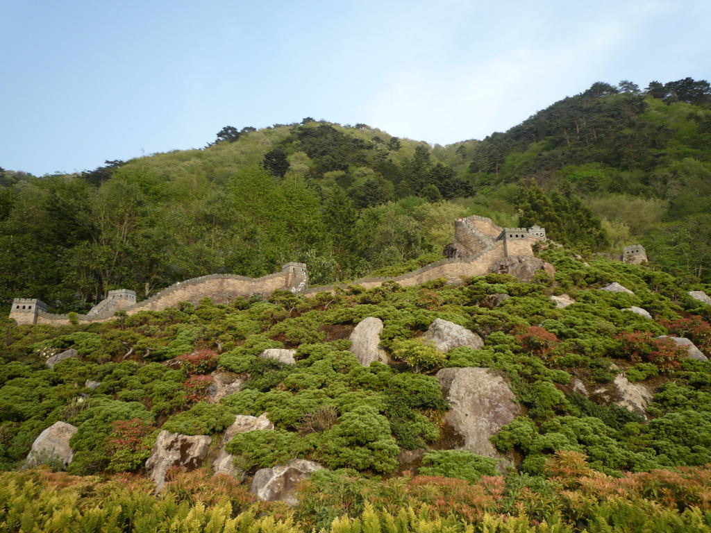 p1000440.jpg