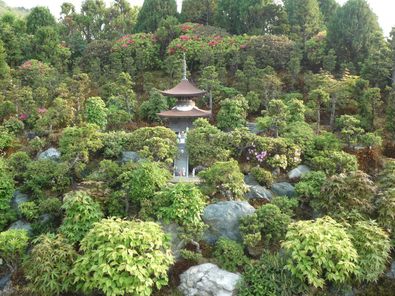 p1000442.jpg
