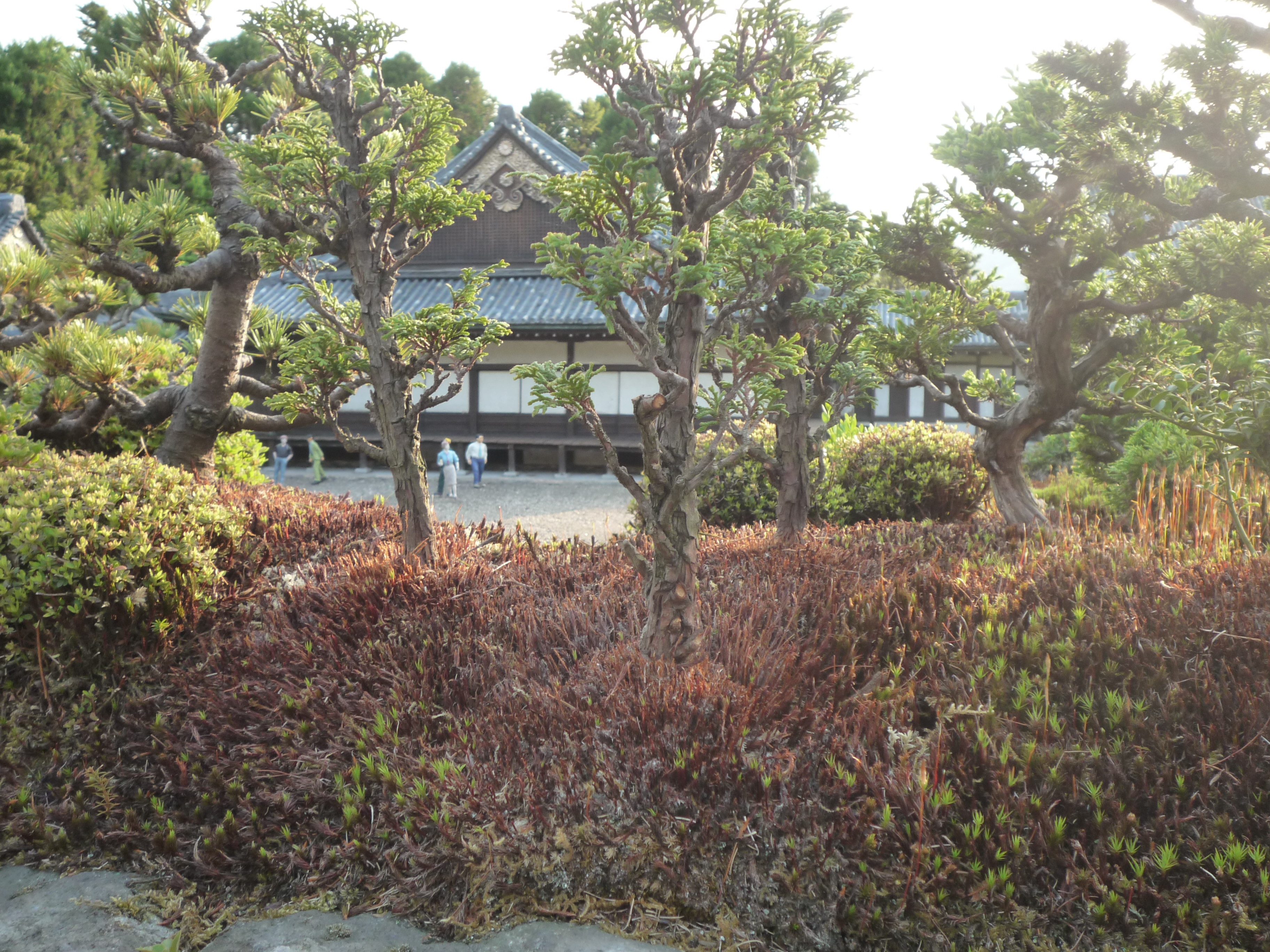 p1000444.jpg