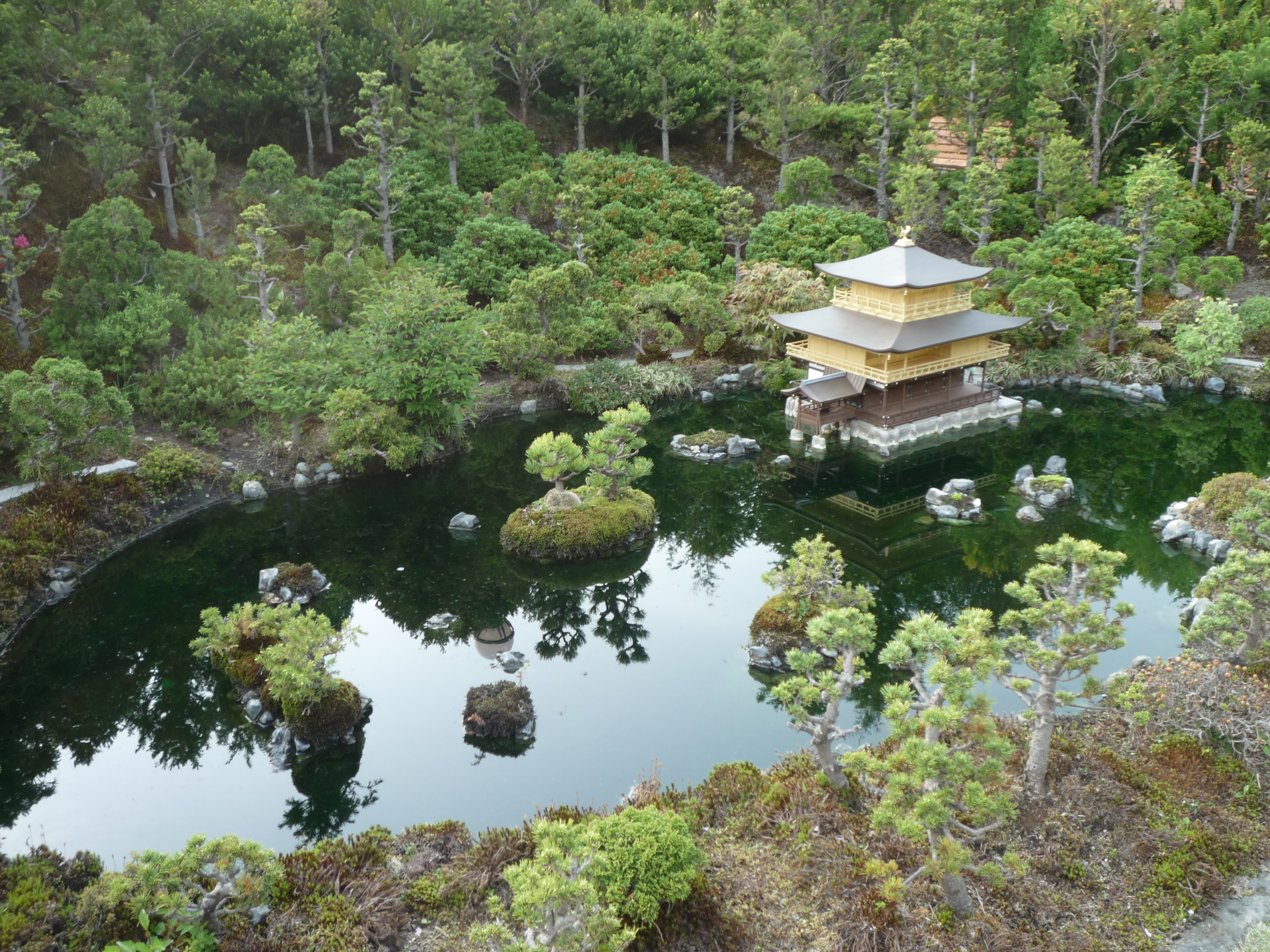 p1000445.jpg