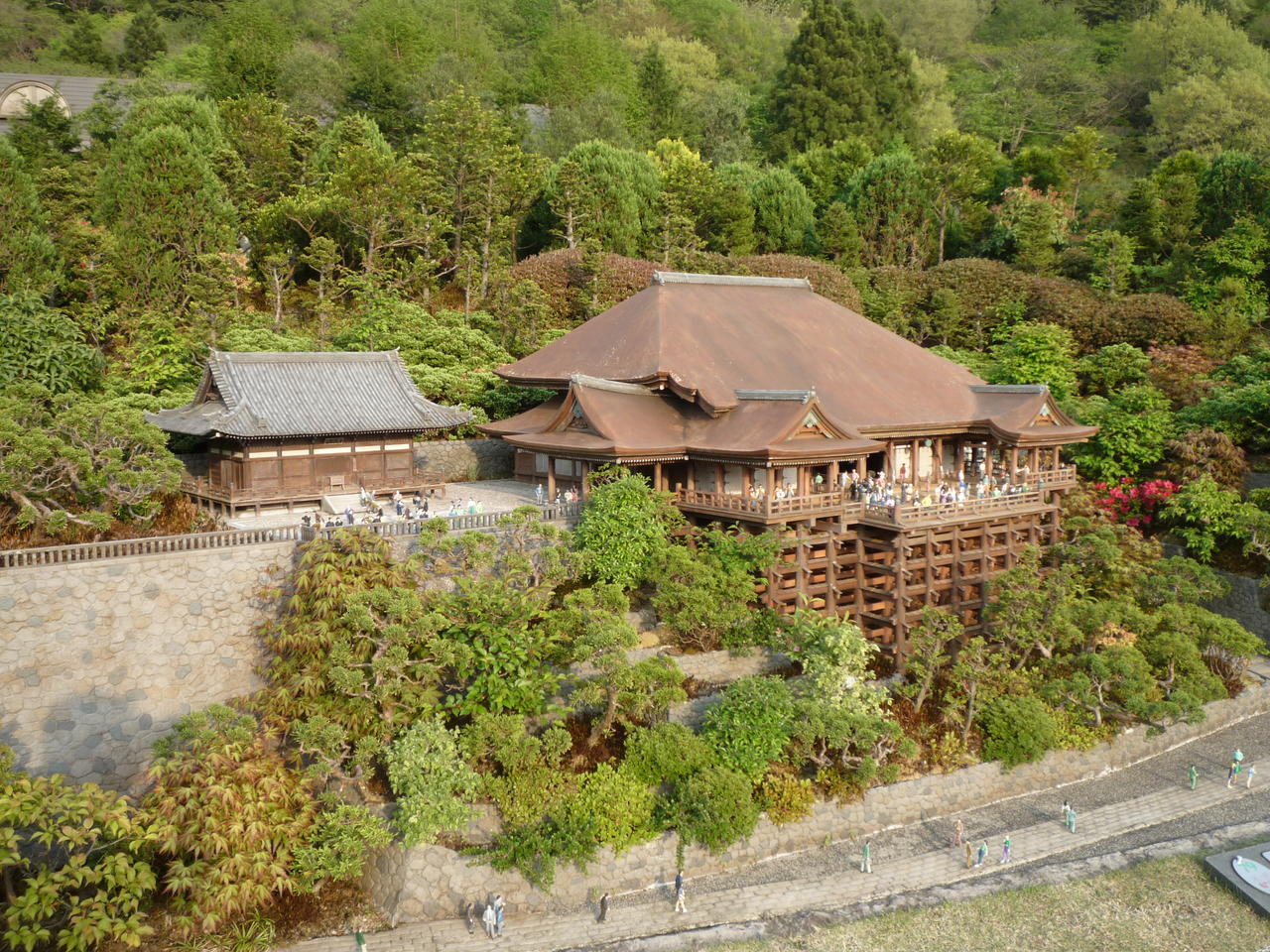 p1000448.jpg