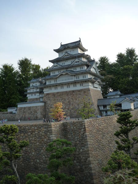 p1000450.jpg
