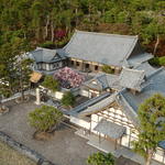 p1000451.jpg