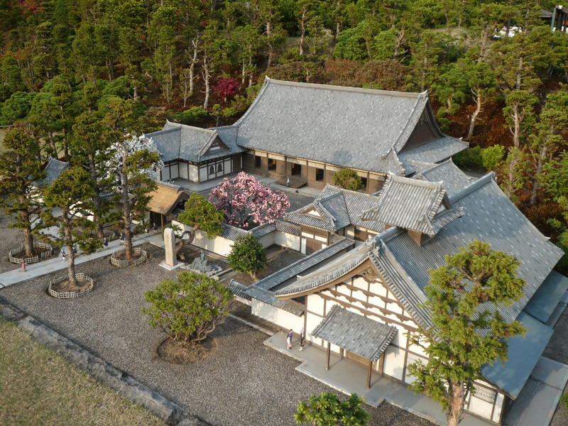 p1000451.jpg