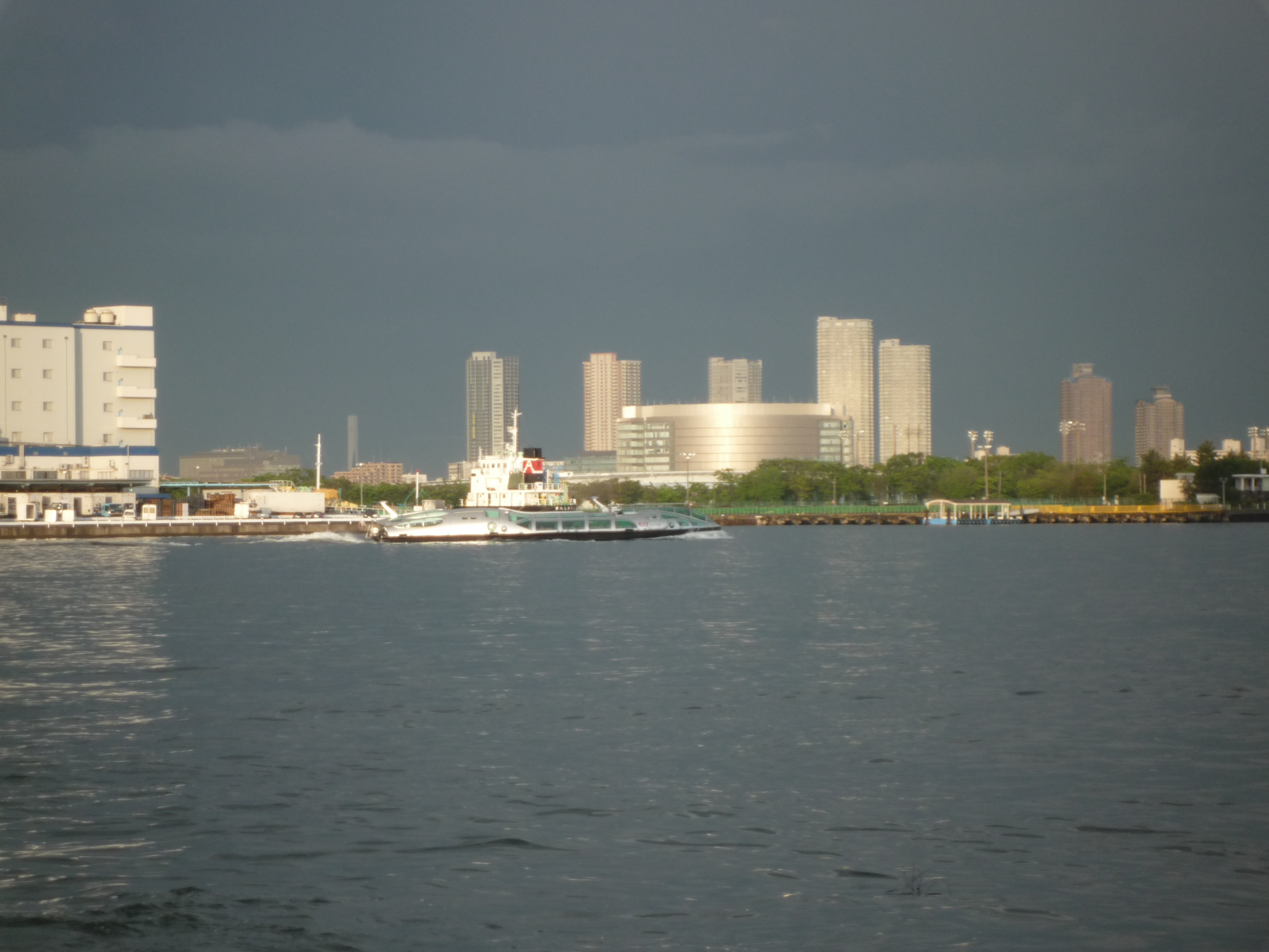 p1000528.jpg