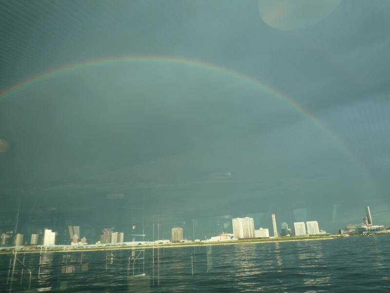 p1000547.jpg