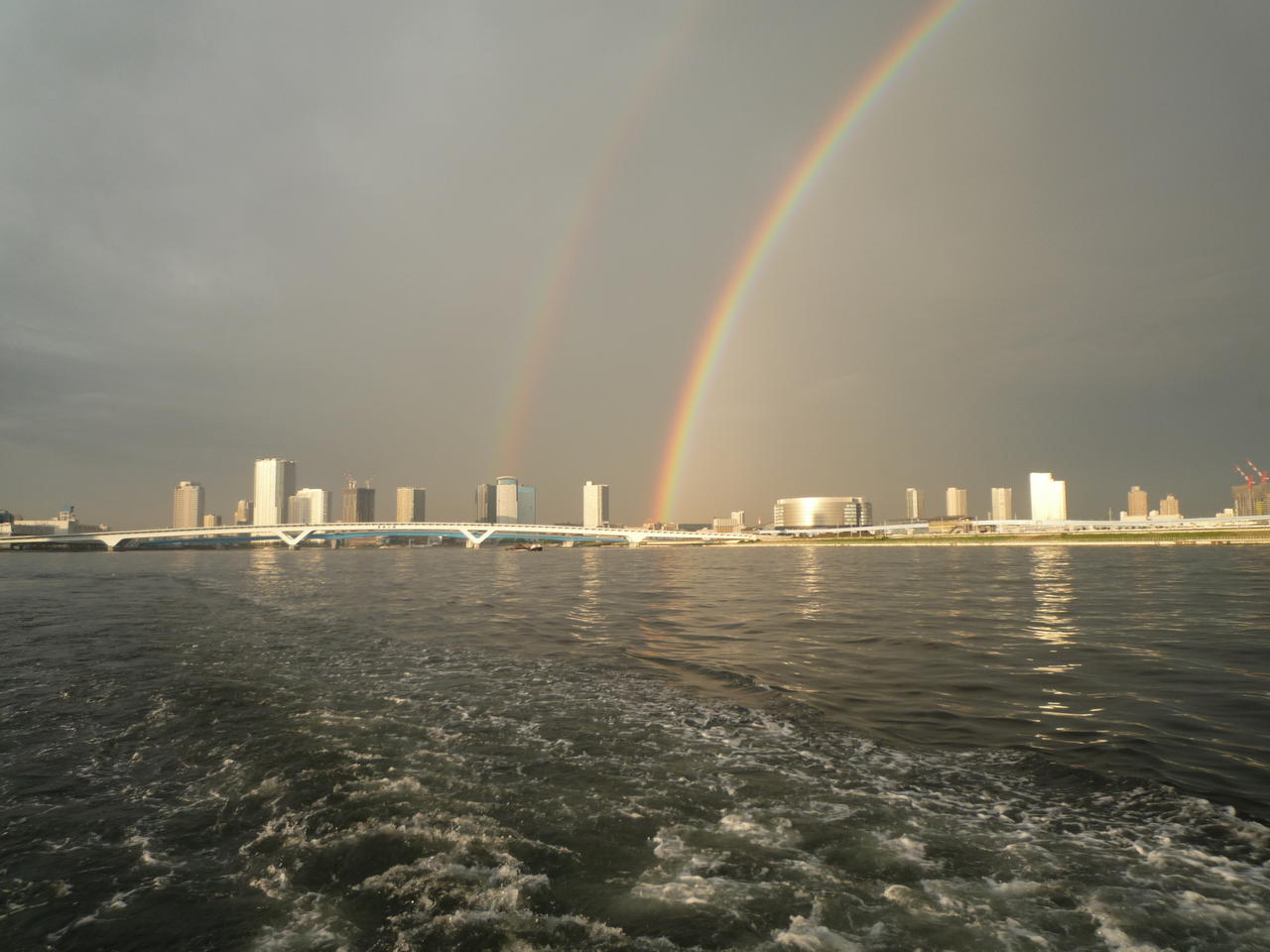 p1000552.jpg