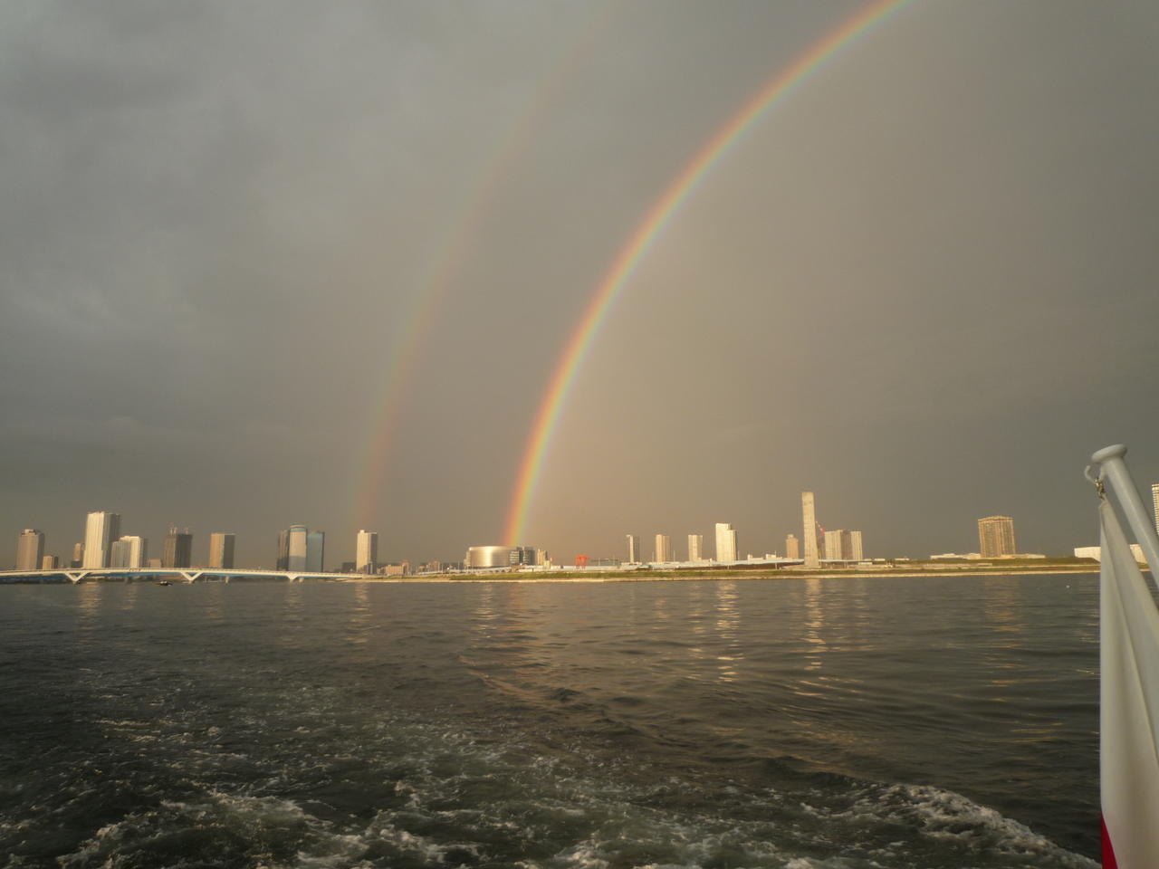 p1000553.jpg