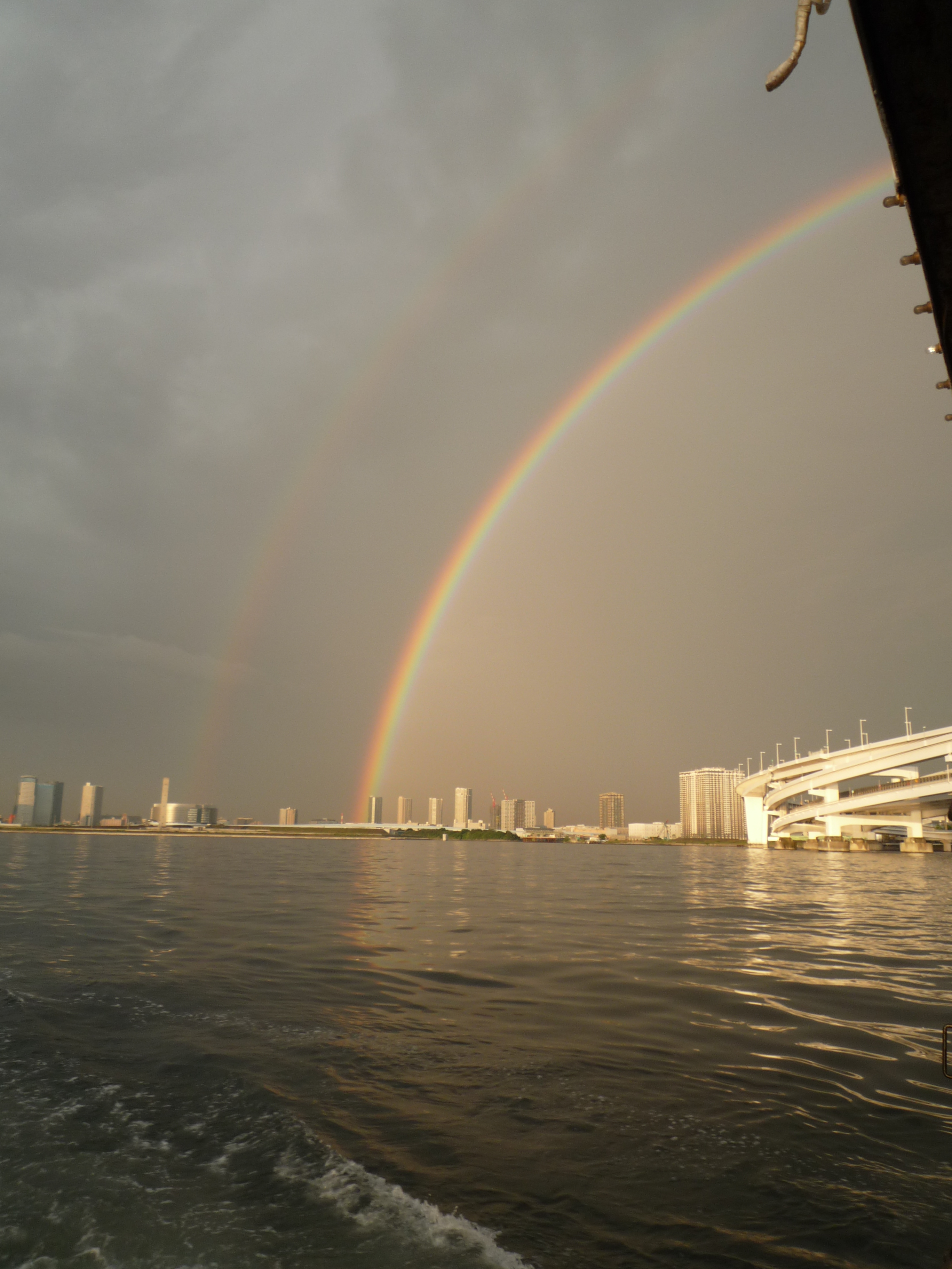 p1000557.jpg