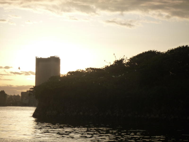 p1000567.jpg