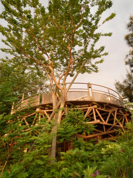 p1000579.jpg
