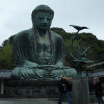 Grand Bouddha de Kamakura - vue 3