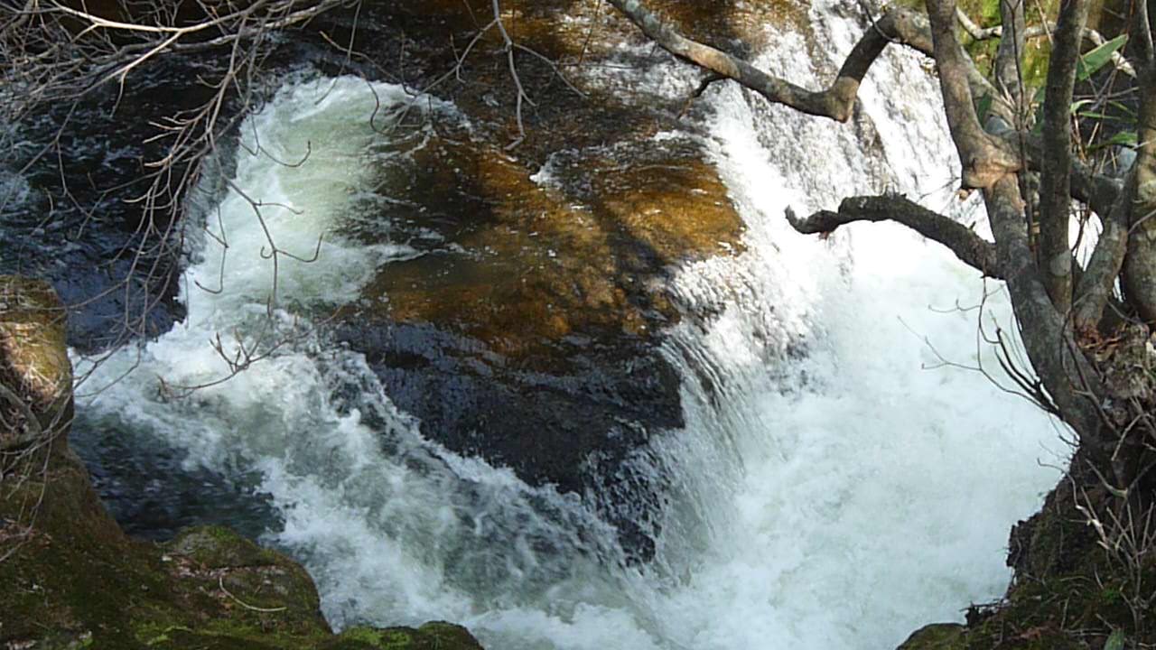 p1000466.jpg