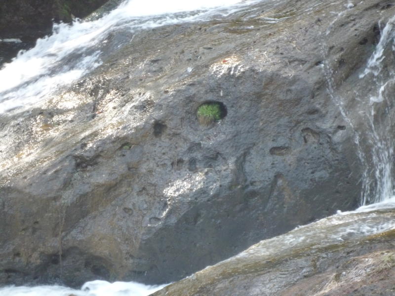 p1000473.jpg