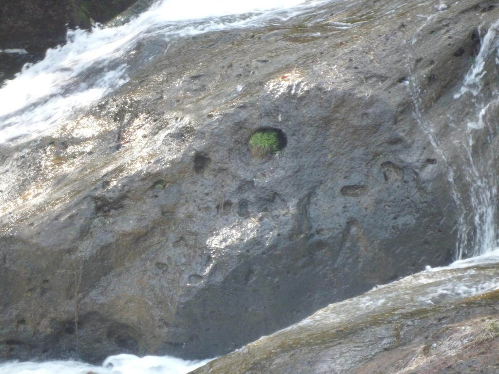 p1000473.jpg