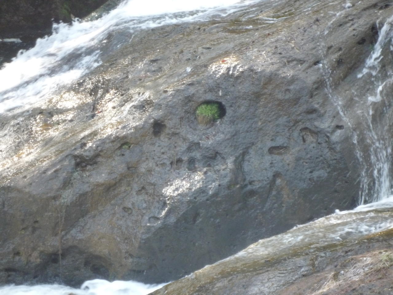 p1000473.jpg