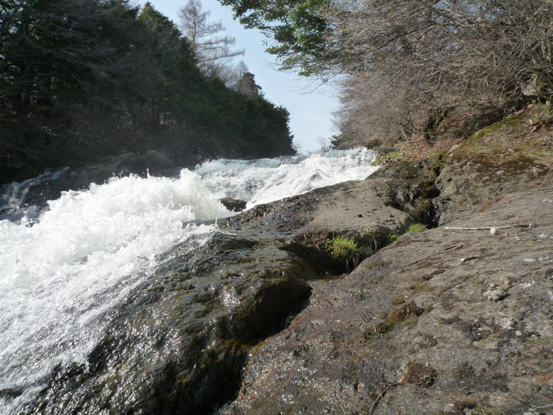 p1000478.jpg