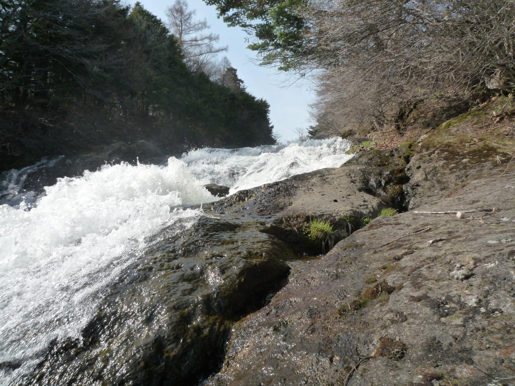 p1000478.jpg