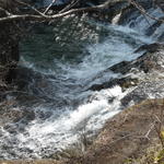 p1000481.jpg