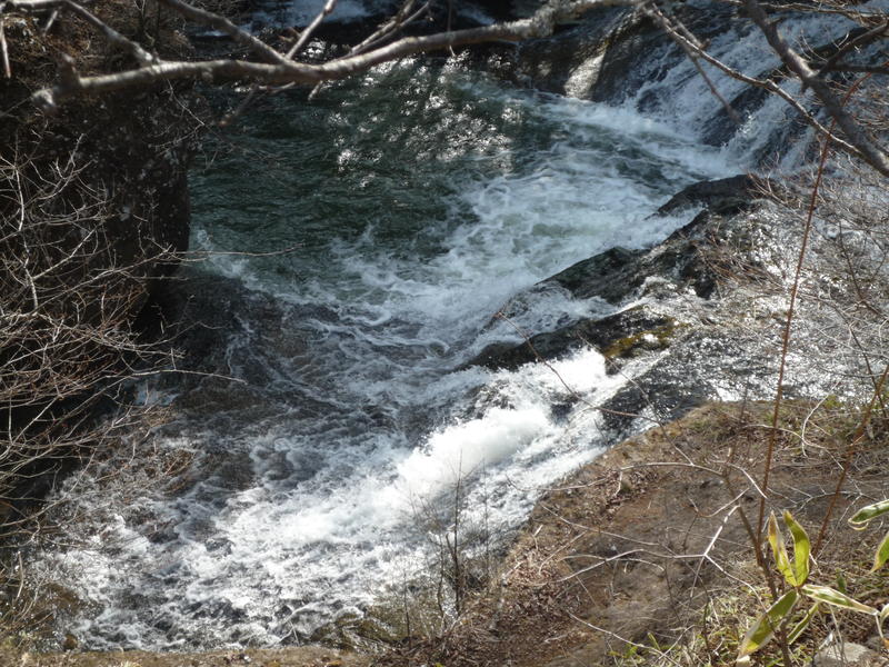 p1000481.jpg