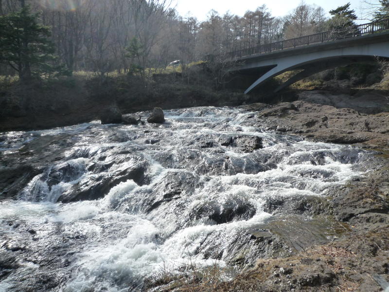 p1000482.jpg