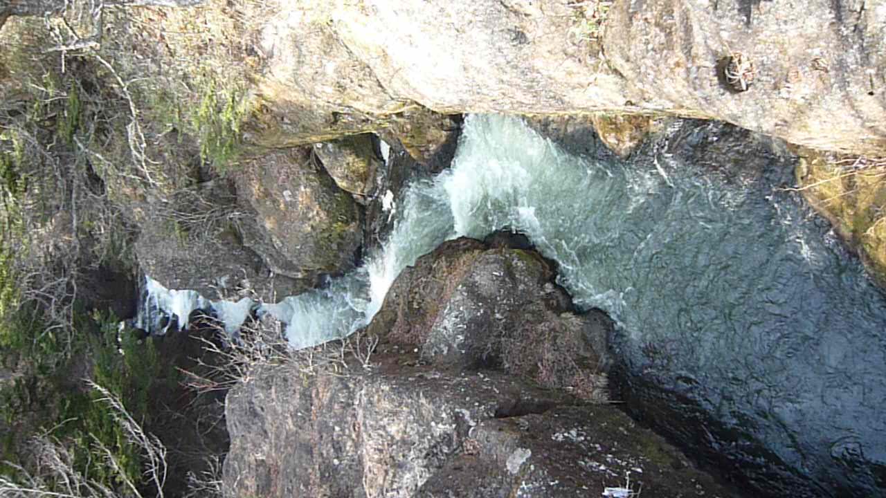 p1000485.jpg