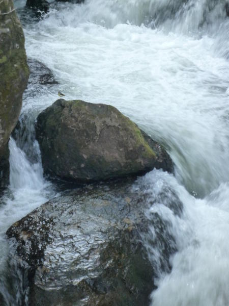p1000486.jpg