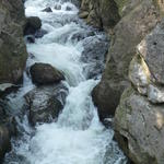 p1000487.jpg