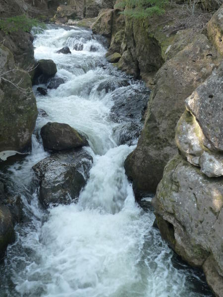 p1000487.jpg
