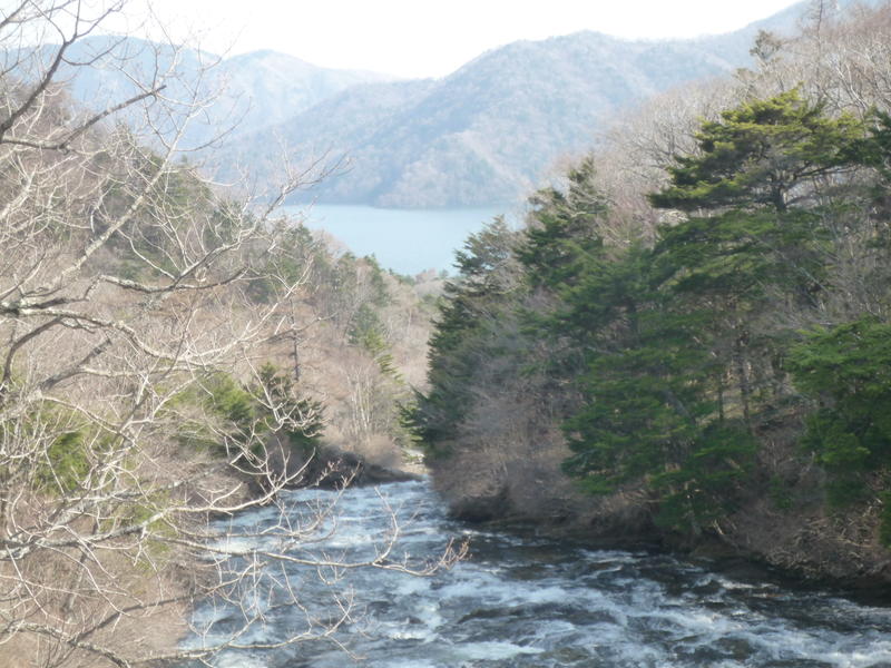 p1000489.jpg