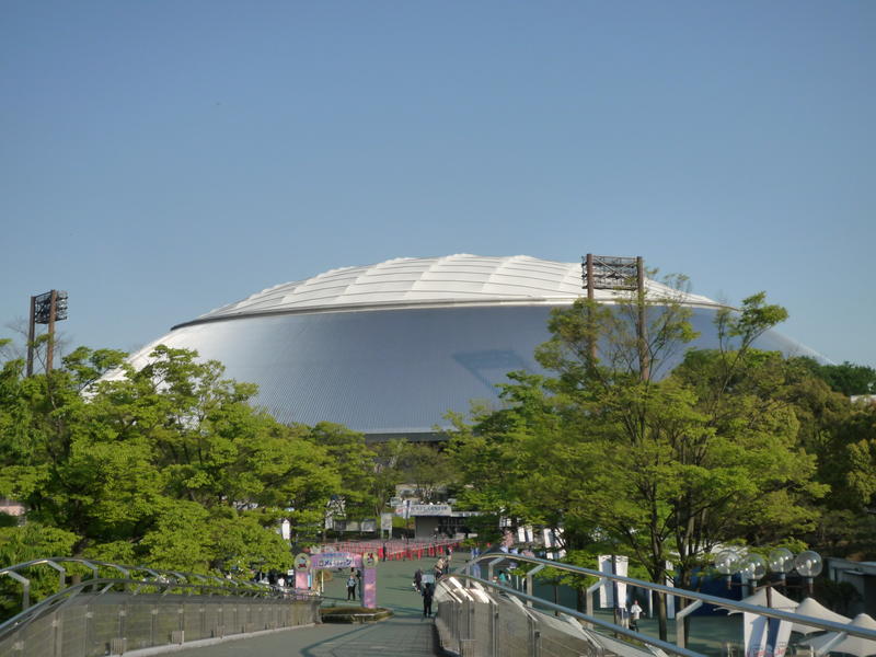 p1000317.jpg