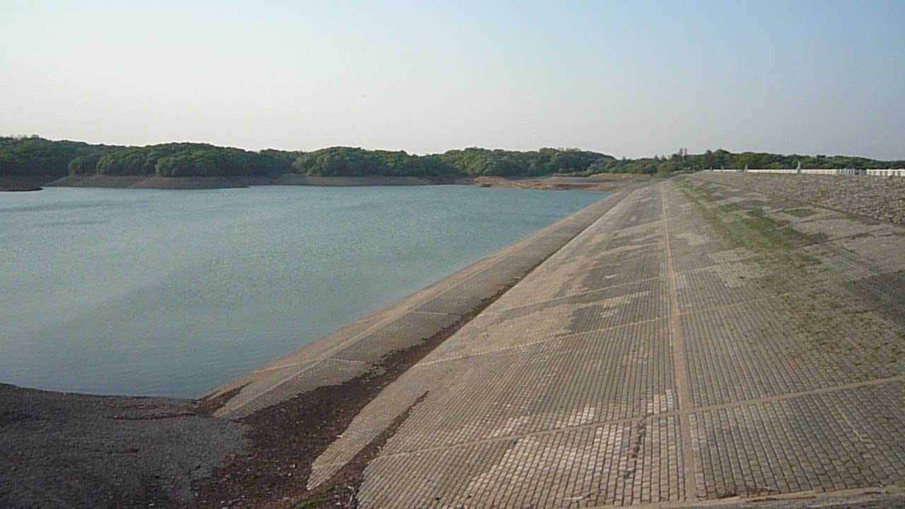 p1000319.jpg