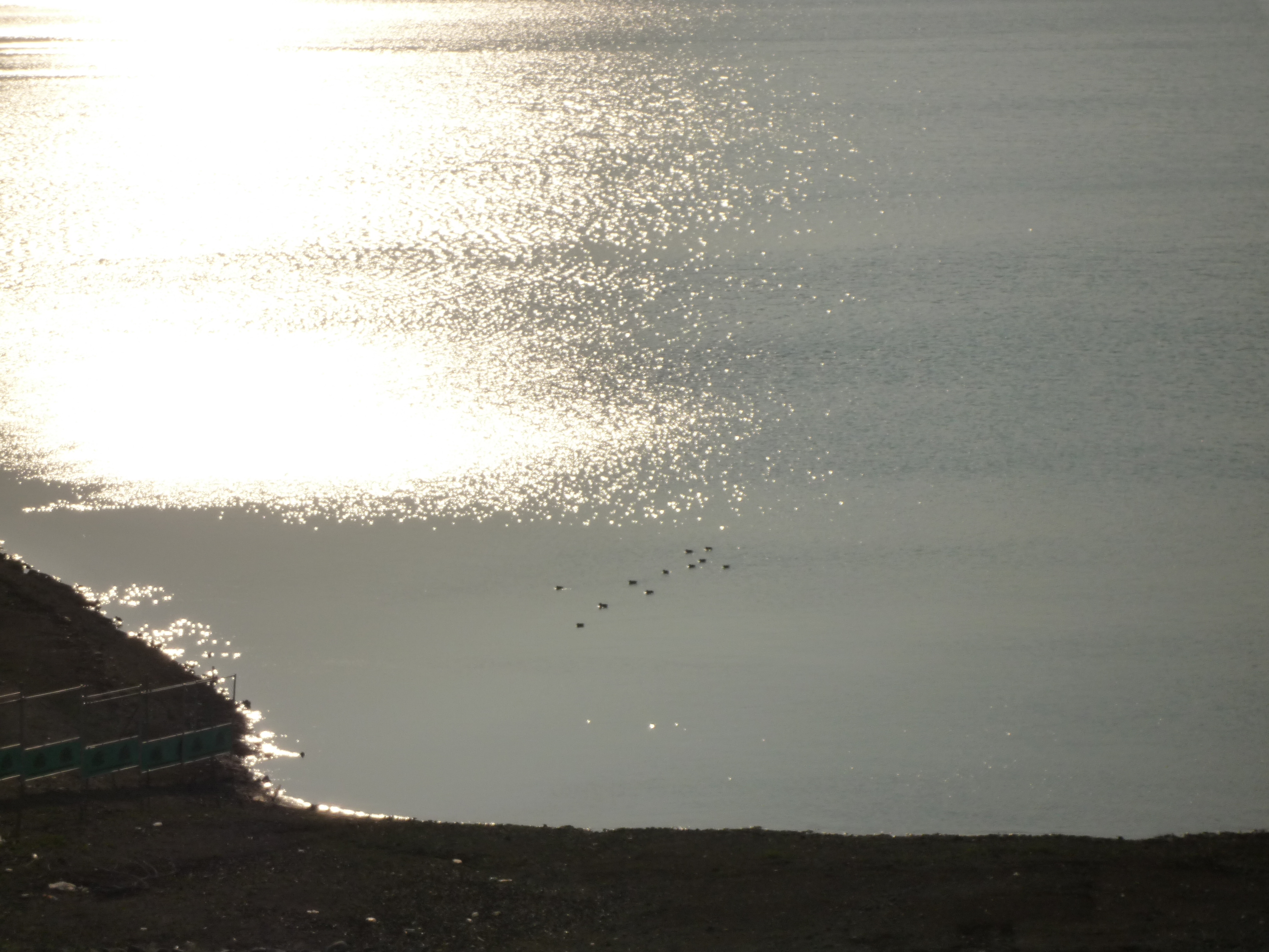 p1000320.jpg