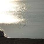 p1000320.jpg