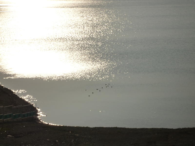 p1000320.jpg