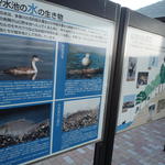 p1000322.jpg