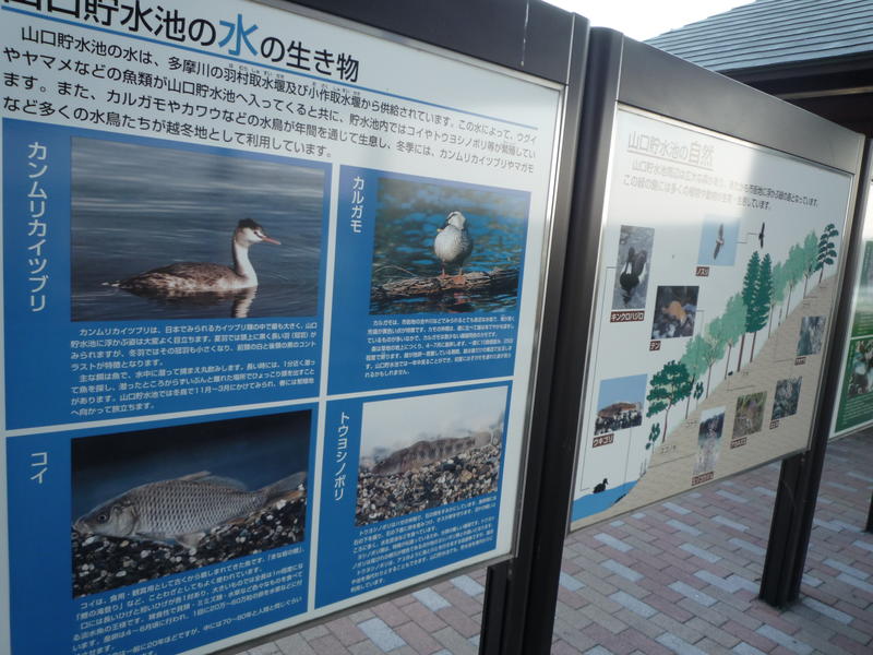 p1000322.jpg