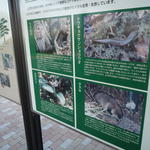 p1000323.jpg