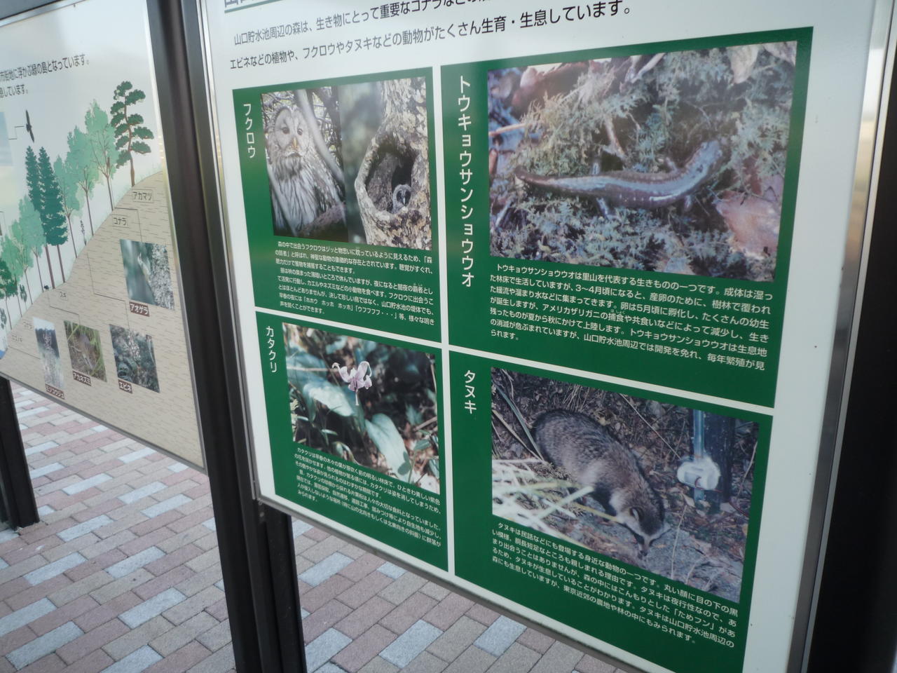 p1000323.jpg